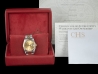 Rolex Datejust 36 Champagne Jubilee Crissy Dial  Watch  16233 